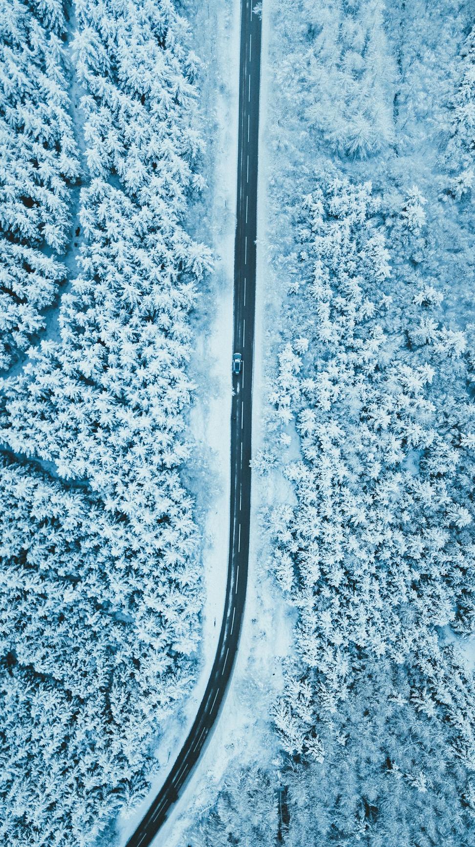 Temperature-controlled cargo